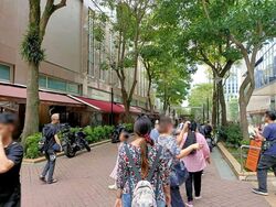 Sim Lim Square (D7), Shop House #564757941